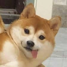 افتخار احمد avatar