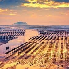 صد رہ امین avatar