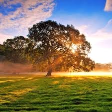 ابرار احمد avatar