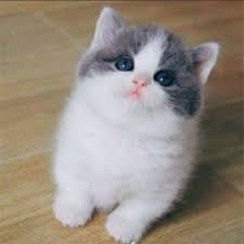 عماد وسیم avatar